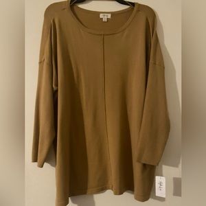 🎉 HP 1/20 🎉Style & Co. sweater w/boat neckline in warm toffee